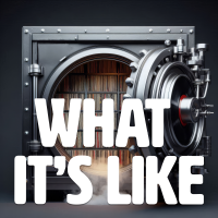 What Its Like - Full Cover cover